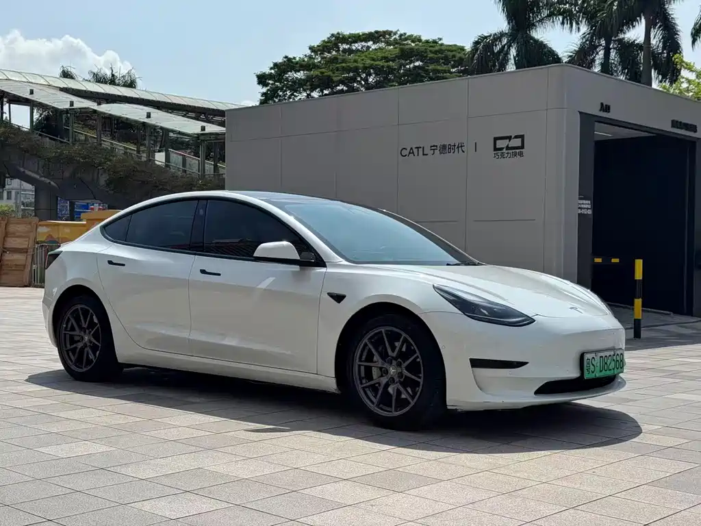 Tesla Model 3 2021 Standard Range Rear-Wheel Drive Plus 3D1 2021 - thumbnail 3