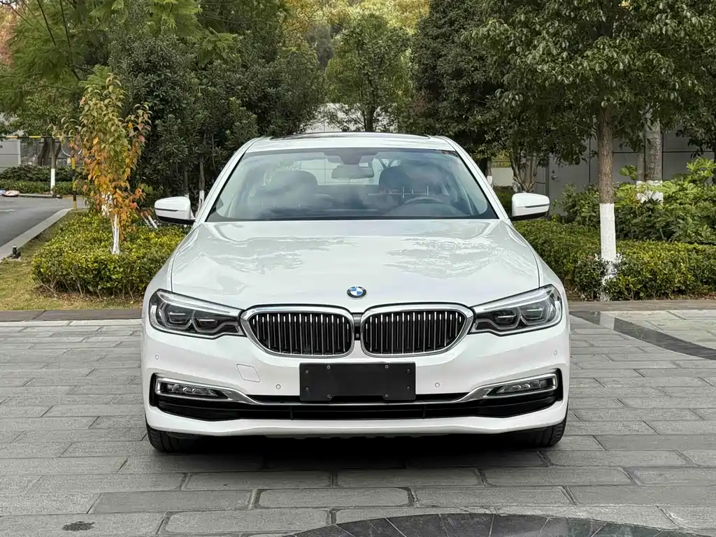 BMW BMW 5 Series 2018 Facelift 530Li Luxury Package 2018 - thumbnail 2