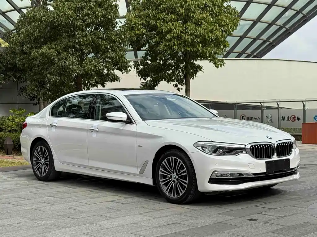 BMW BMW 5 Series 2018 Facelift 530Li Luxury Package 2018 - thumbnail 3