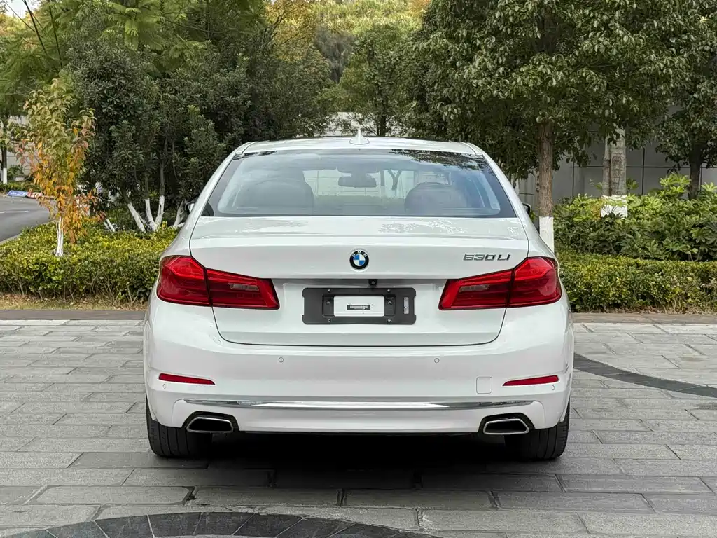 BMW BMW 5 Series 2018 Facelift 530Li Luxury Package 2018 - thumbnail 8