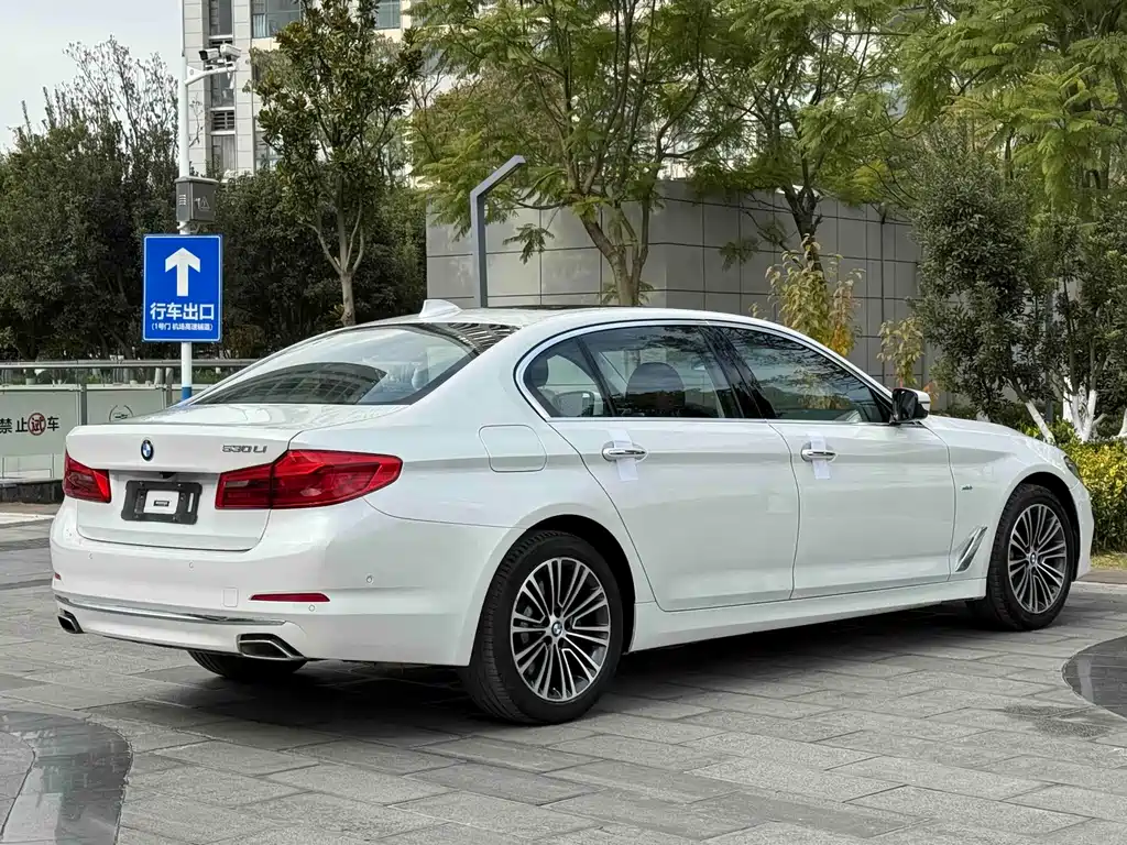 BMW BMW 5 Series 2018 Facelift 530Li Luxury Package 2018 - thumbnail 9
