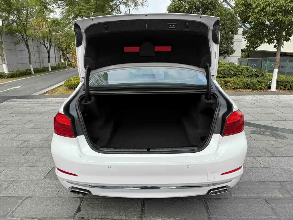 BMW BMW 5 Series 2018 Facelift 530Li Luxury Package 2018 - thumbnail 21