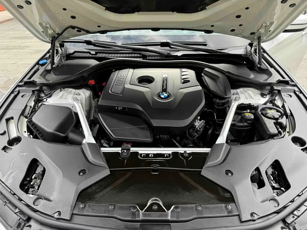 BMW BMW 5 Series 2018 Facelift 530Li Luxury Package 2018 - thumbnail 24