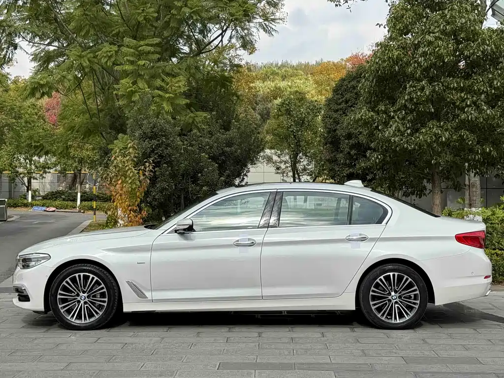 BMW BMW 5 Series 2018 Facelift 530Li Luxury Package 2018 - thumbnail 26