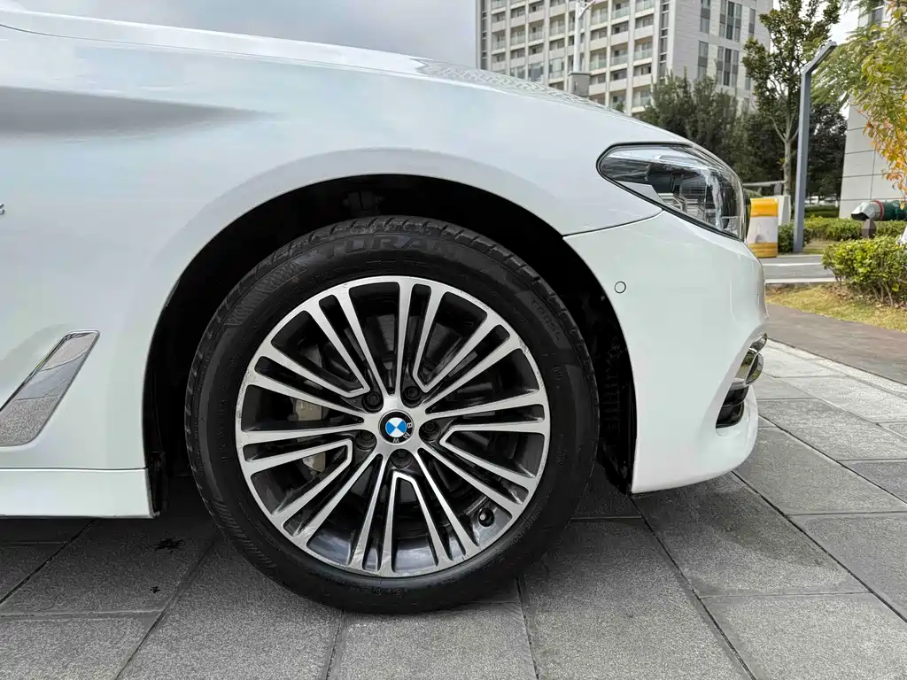 BMW BMW 5 Series 2018 Facelift 530Li Luxury Package 2018 - thumbnail 30