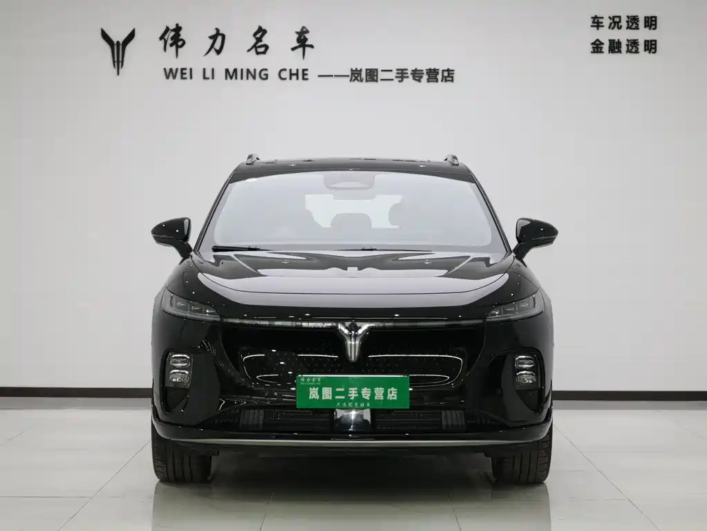 Lantu Automobile Lantu Zhiyin 2024 AWD Global Edition 2024 - thumbnail 2