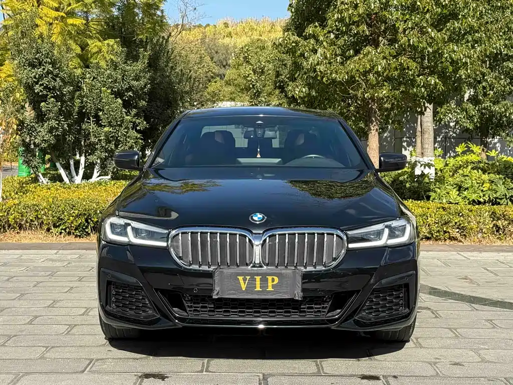 BMW BMW 5 Series 2022 530Li Leading Model M Sport Package 2023 - thumbnail 2