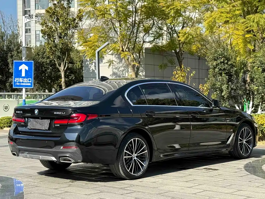 BMW BMW 5 Series 2022 530Li Leading Model M Sport Package 2023 - thumbnail 9