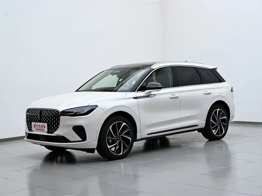 Lincoln Lynx 2024 2.0T AWD Premium Edition 2024 - thumbnail 2