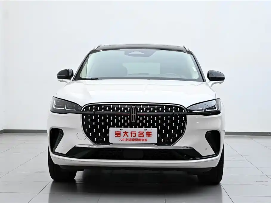 Lincoln Lynx 2024 2.0T AWD Premium Edition 2024 - thumbnail 3
