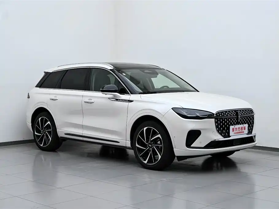Lincoln Lynx 2024 2.0T AWD Premium Edition 2024 - thumbnail 4