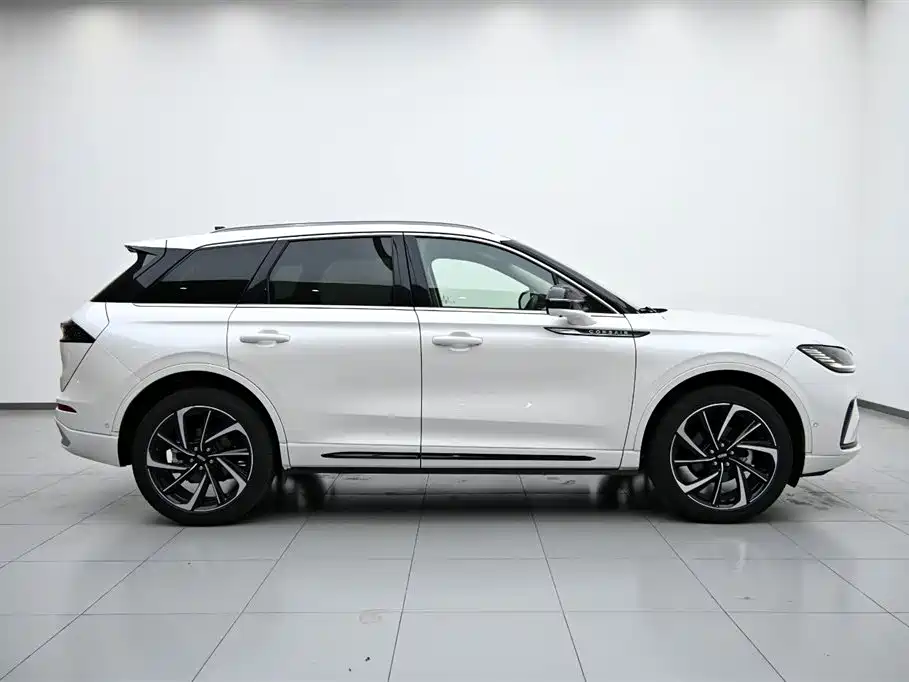 Lincoln Lynx 2024 2.0T AWD Premium Edition 2024 - thumbnail 6
