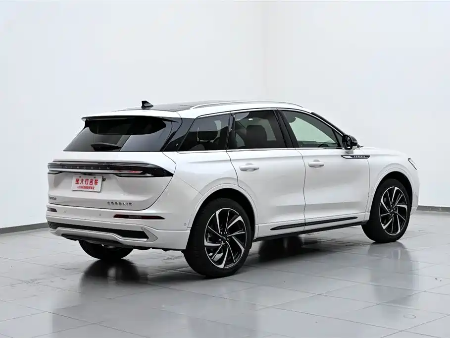 Lincoln Lynx 2024 2.0T AWD Premium Edition 2024 - thumbnail 7