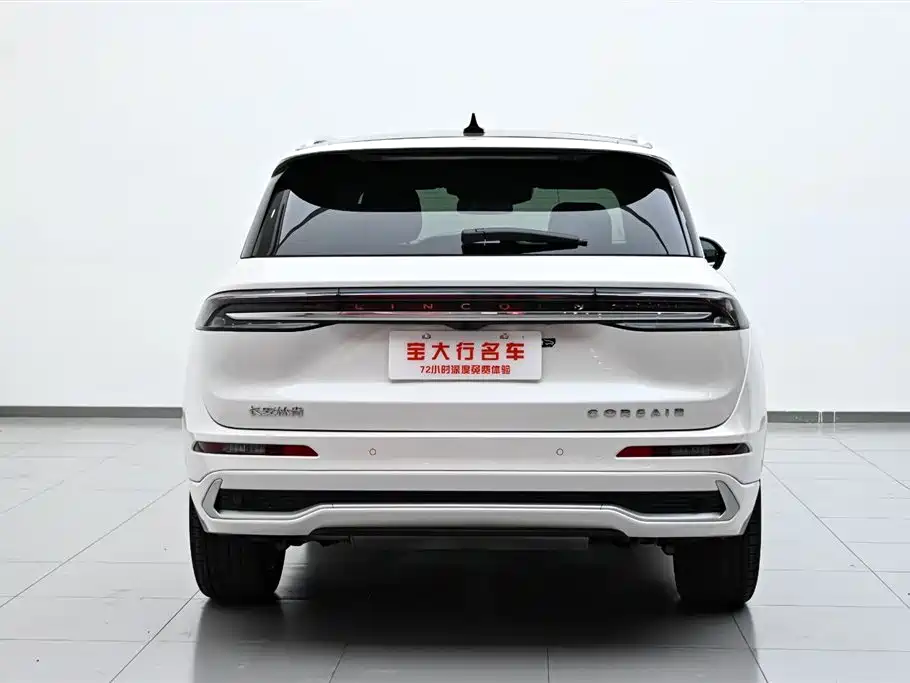 Lincoln Lynx 2024 2.0T AWD Premium Edition 2024 - thumbnail 8