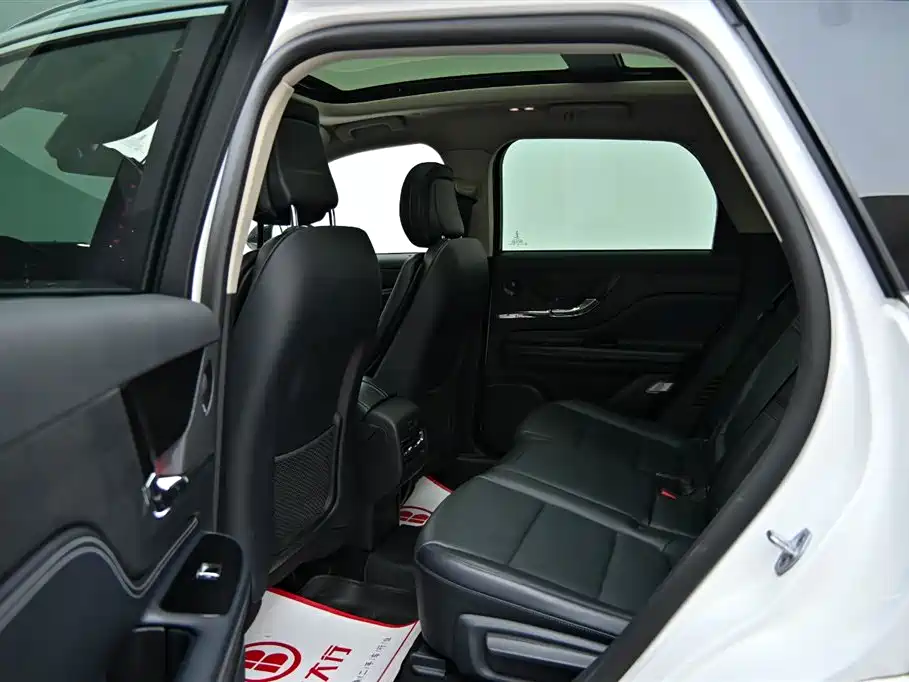 Lincoln Lynx 2024 2.0T AWD Premium Edition 2024 - thumbnail 10
