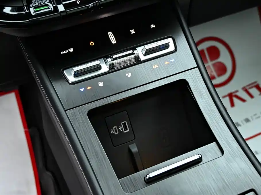 Lincoln Lynx 2024 2.0T AWD Premium Edition 2024 - thumbnail 15