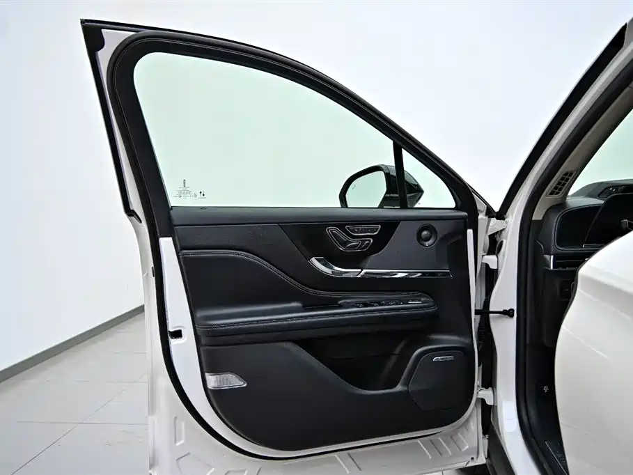 Lincoln Lynx 2024 2.0T AWD Premium Edition 2024 - thumbnail 19