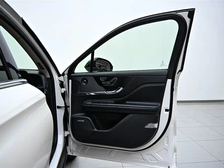 Lincoln Lynx 2024 2.0T AWD Premium Edition 2024 - thumbnail 20