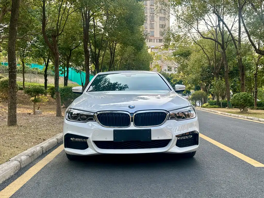 BMW BMW 5 Series 2018 Facelift 530Li Leading Model M Sport Package 2018 - thumbnail 2