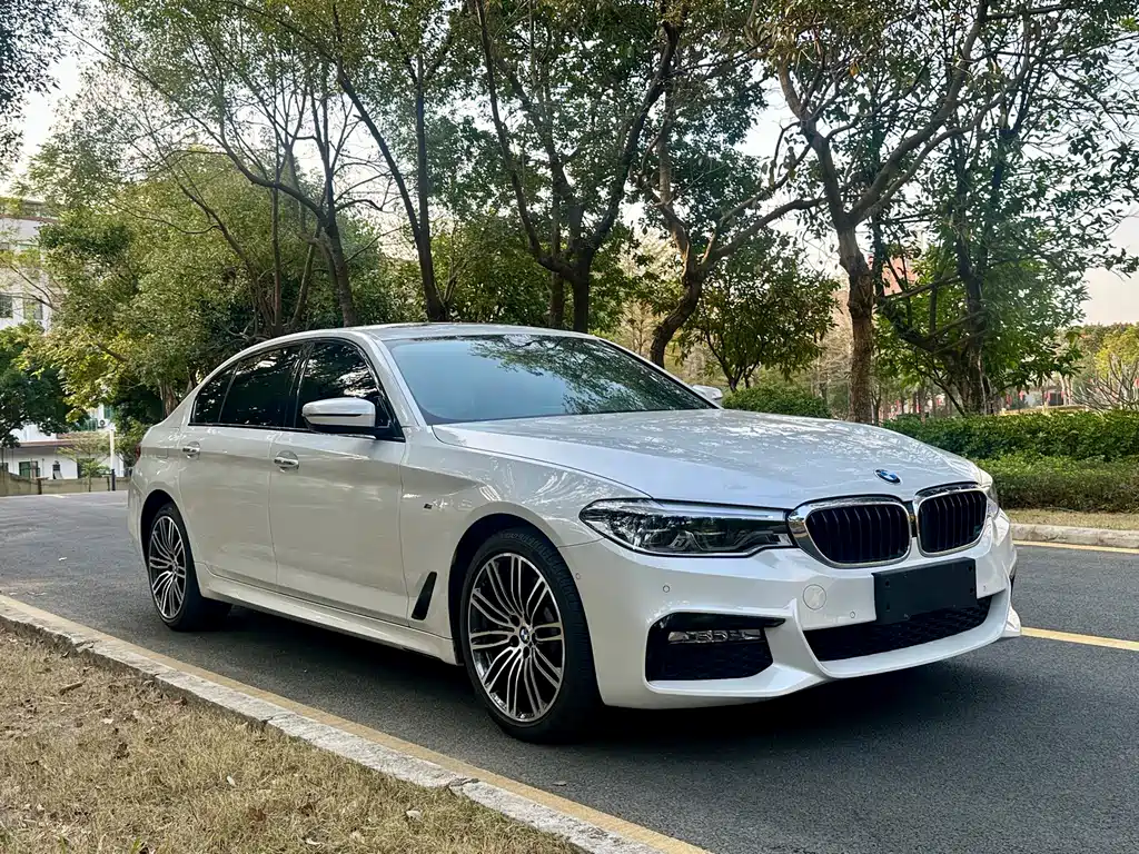 BMW BMW 5 Series 2018 Facelift 530Li Leading Model M Sport Package 2018 - thumbnail 3