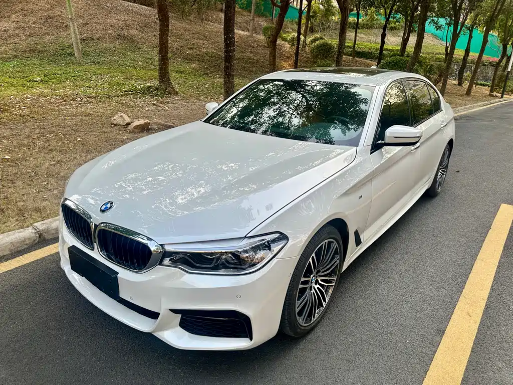 BMW BMW 5 Series 2018 Facelift 530Li Leading Model M Sport Package 2018 - thumbnail 8