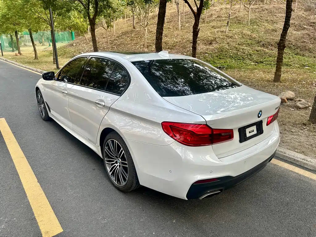 BMW BMW 5 Series 2018 Facelift 530Li Leading Model M Sport Package 2018 - thumbnail 9