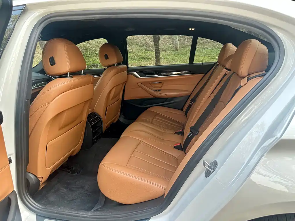 BMW BMW 5 Series 2018 Facelift 530Li Leading Model M Sport Package 2018 - thumbnail 13