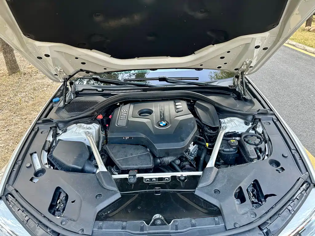 BMW BMW 5 Series 2018 Facelift 530Li Leading Model M Sport Package 2018 - thumbnail 21