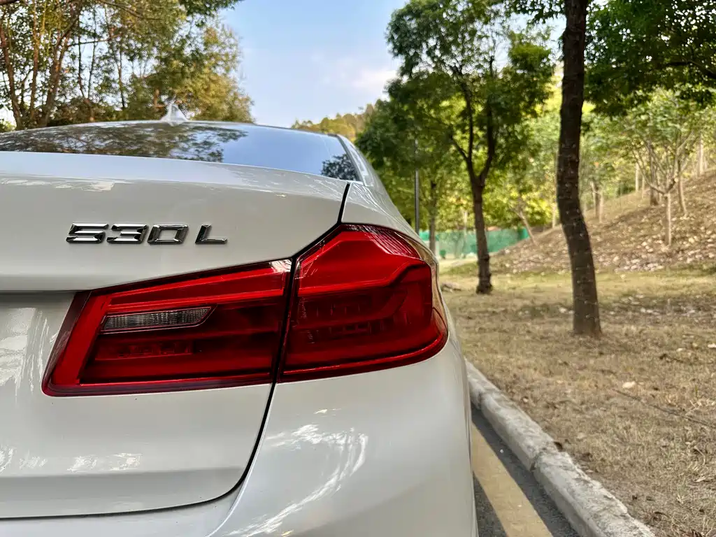 BMW BMW 5 Series 2018 Facelift 530Li Leading Model M Sport Package 2018 - thumbnail 23