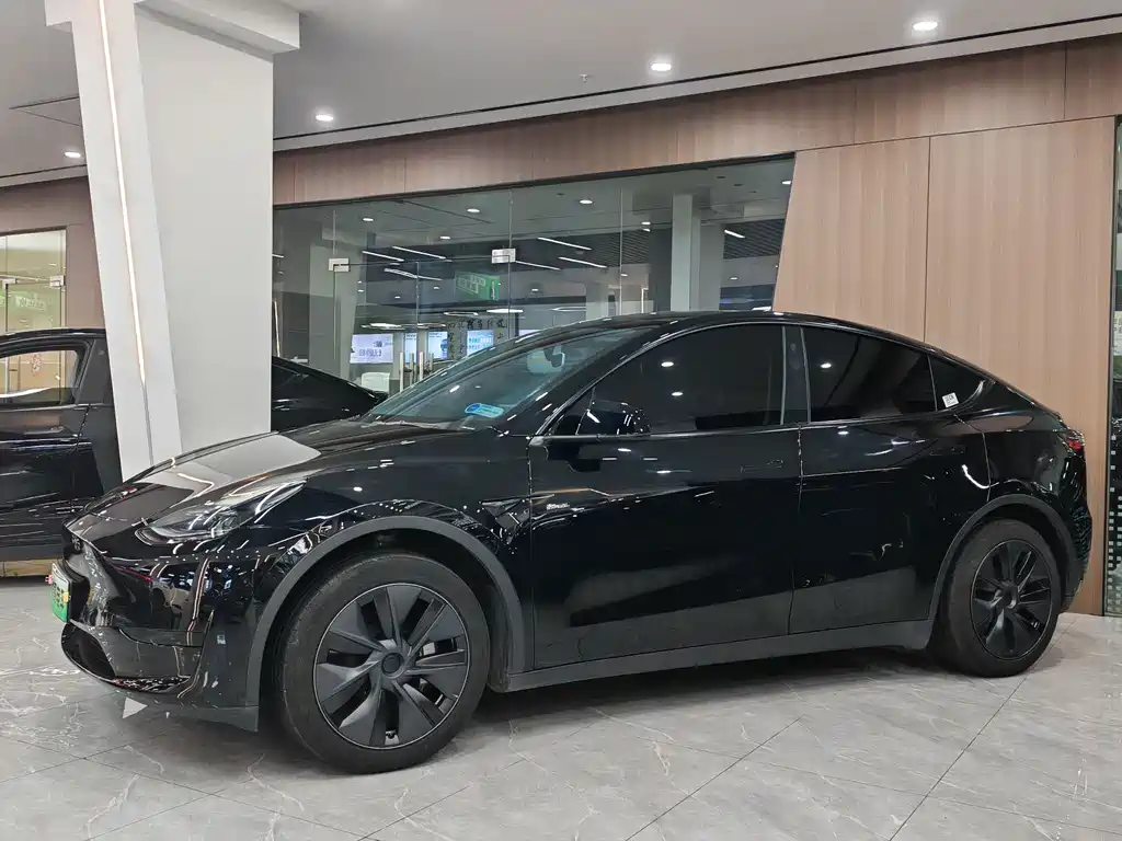 Tesla Model Y 2023 Rear-Wheel Drive 2023 - thumbnail 4