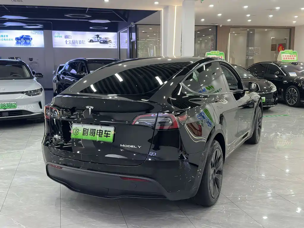 Tesla Model Y 2023 Rear-Wheel Drive 2023 - thumbnail 10