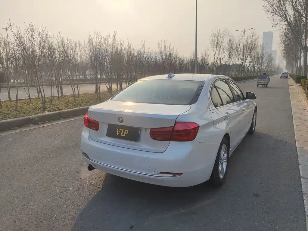 BMW BMW 3 Series 2016 316Li Fashion Edition 2016 - thumbnail 12