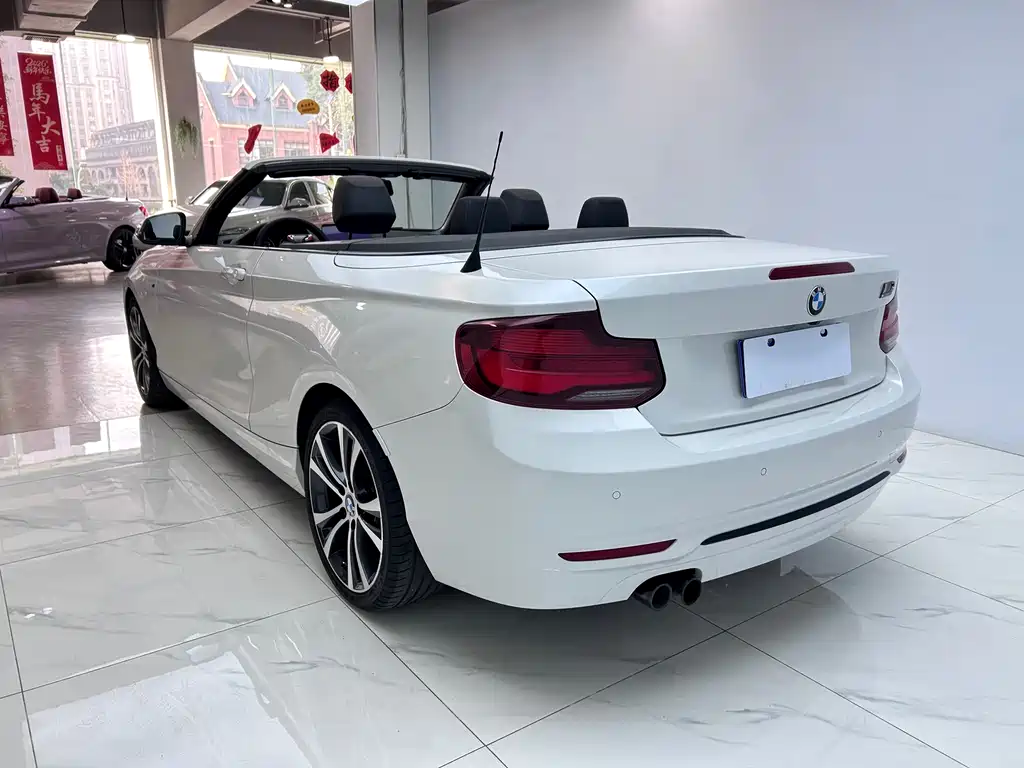 BMW BMW 2 Series Convertible 2019 225i M Sport Package 2020 - thumbnail 5