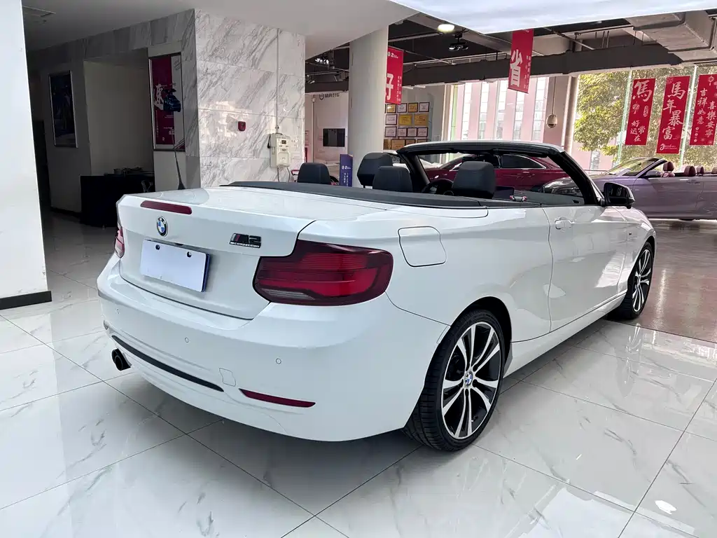 BMW BMW 2 Series Convertible 2019 225i M Sport Package 2020 - thumbnail 7