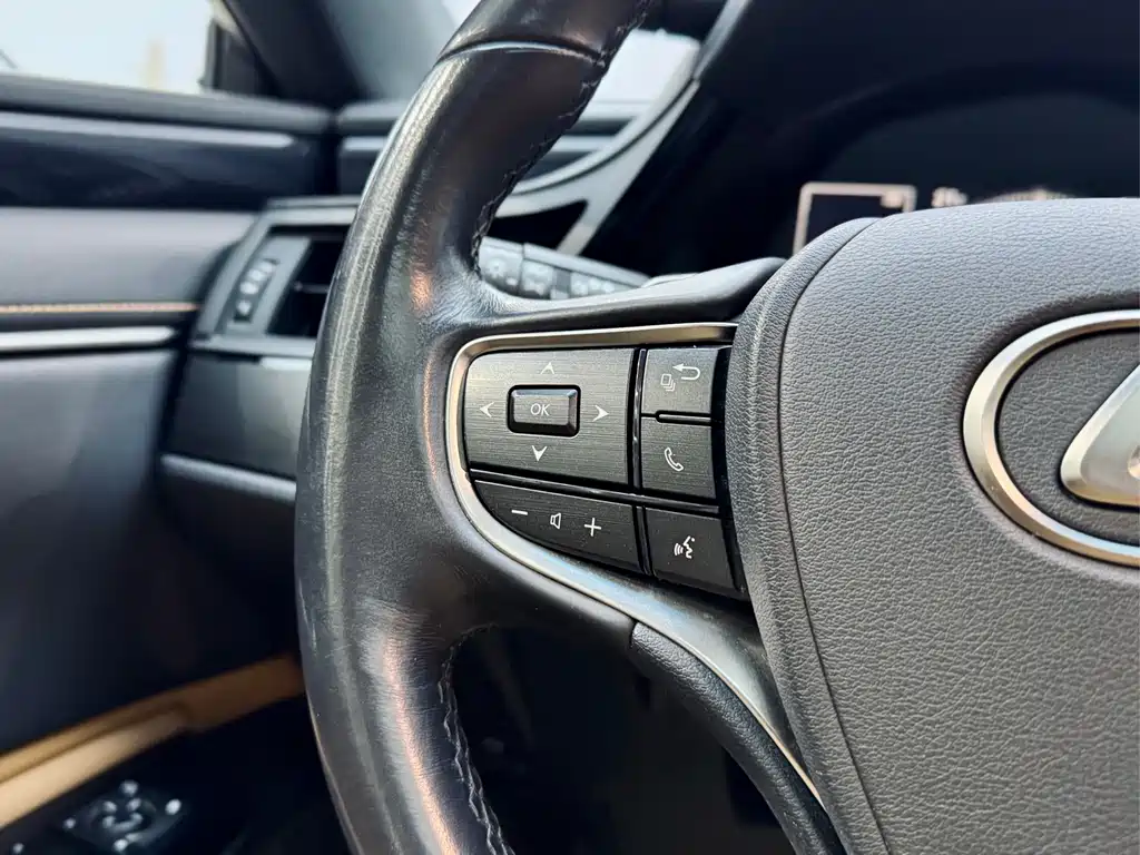 Lexus Lexus ES 260 2021 Excellence Edition 2022 - thumbnail 14