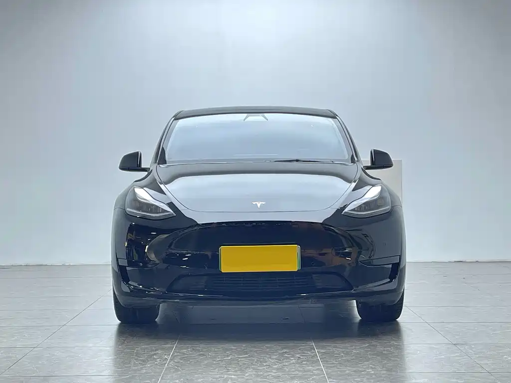 Tesla Model Y 2022 Rear-Wheel Drive 2022 - thumbnail 2