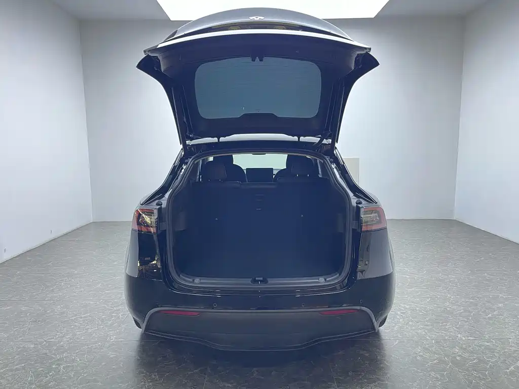 Tesla Model Y 2022 Rear-Wheel Drive 2022 - thumbnail 6
