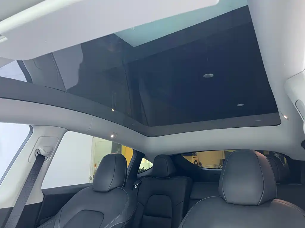 Tesla Model Y 2022 Rear-Wheel Drive 2022 - thumbnail 12