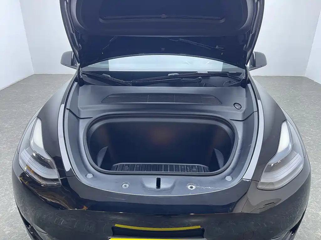 Tesla Model Y 2022 Rear-Wheel Drive 2022 - thumbnail 16