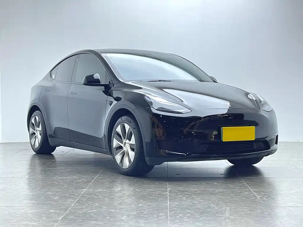 Tesla Model Y 2022 Rear-Wheel Drive 2022 - thumbnail 18