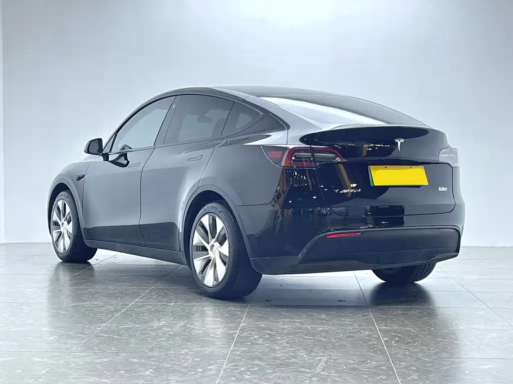 Tesla Model Y 2022 Rear-Wheel Drive 2022 - thumbnail 19