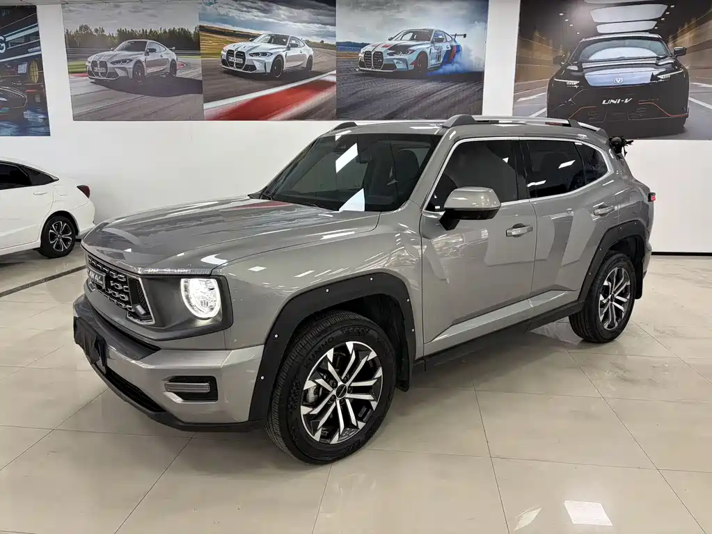 Haval Haval Big Dog 2022 1.5T DCT 2WD Border Collie Edition 2023