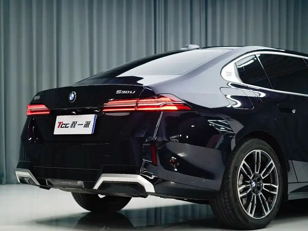 BMW BMW 5 Series 2025 530Li Leading Model M Sport Package 2025 - thumbnail 5