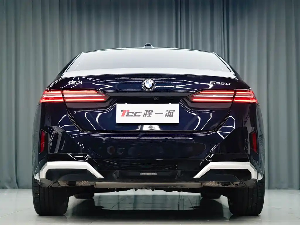 BMW BMW 5 Series 2025 530Li Leading Model M Sport Package 2025 - thumbnail 6