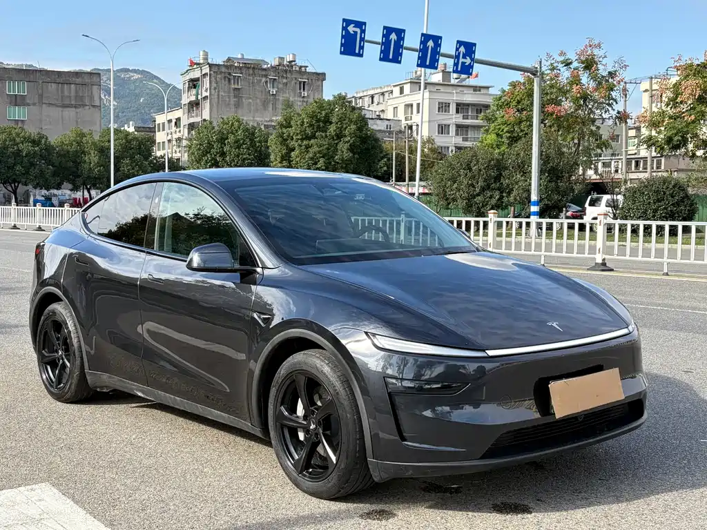 Tesla Model Y 2025 Rear-Wheel Drive 2025 - thumbnail 2