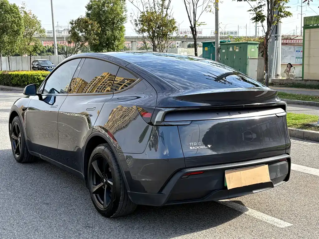 Tesla Model Y 2025 Rear-Wheel Drive 2025 - thumbnail 5