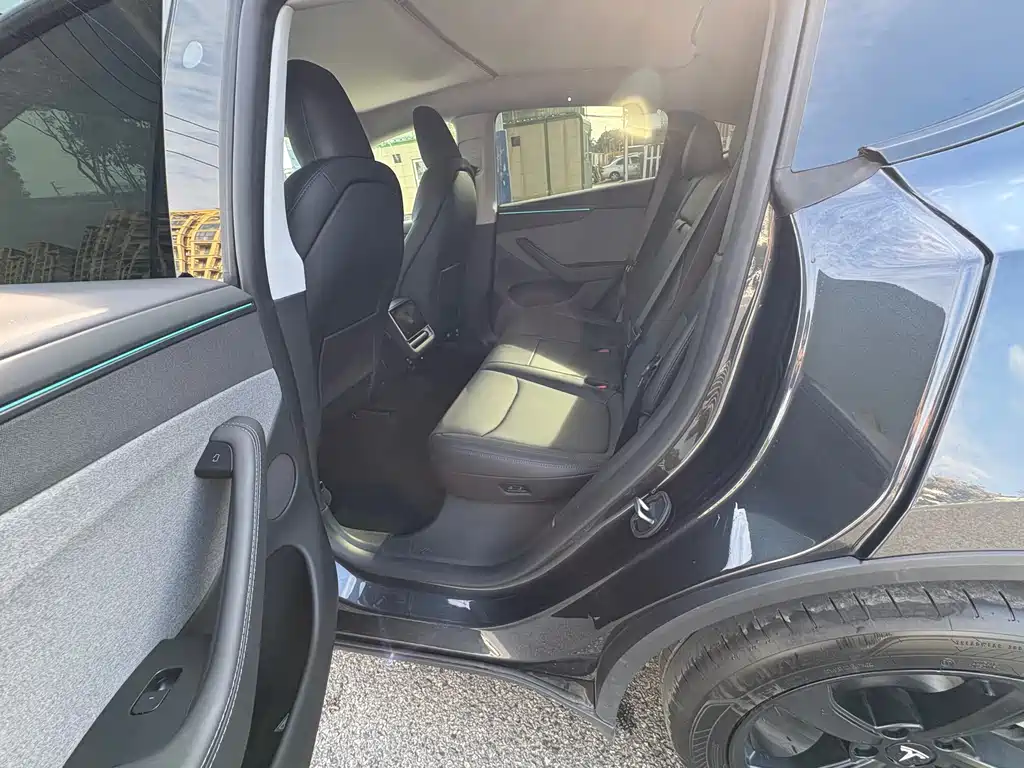 Tesla Model Y 2025 Rear-Wheel Drive 2025 - thumbnail 6
