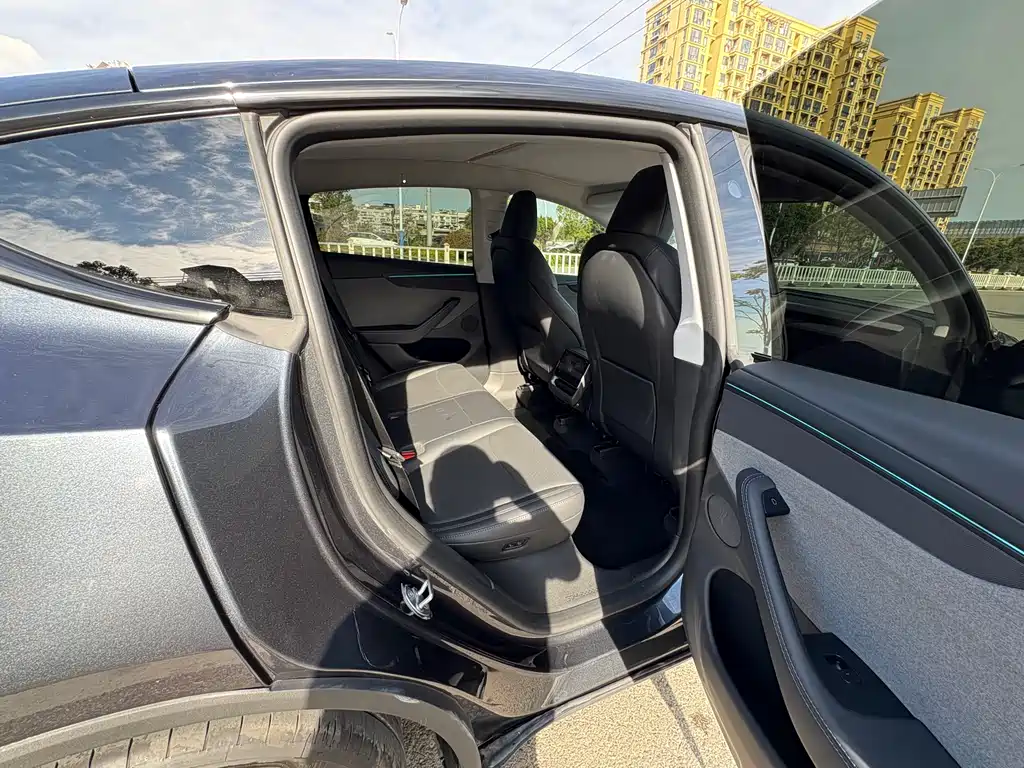 Tesla Model Y 2025 Rear-Wheel Drive 2025 - thumbnail 9