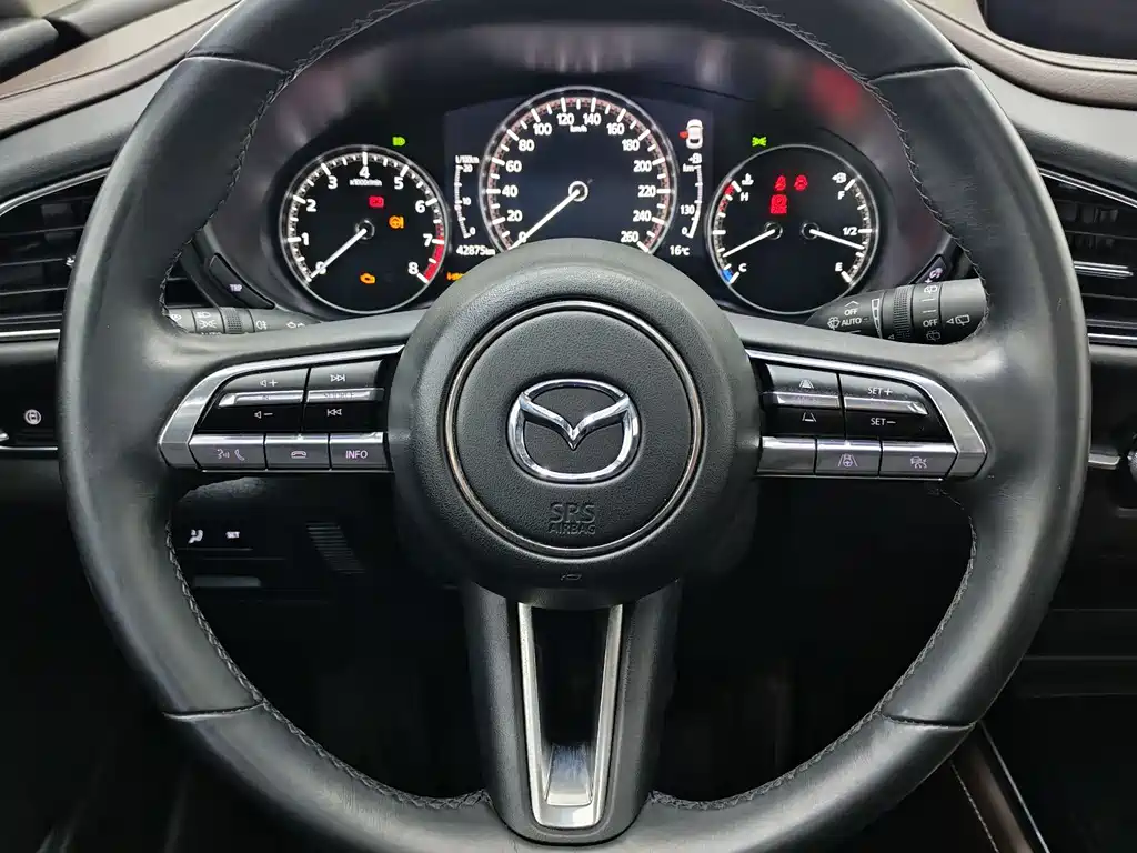 Mazda Mazda CX-30 2022 2.0L Automatic Premium Plus 2022 - thumbnail 10