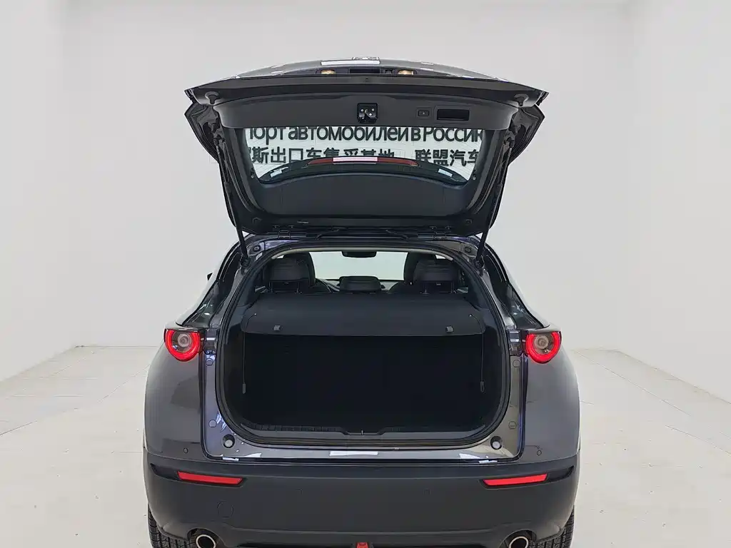 Mazda Mazda CX-30 2022 2.0L Automatic Premium Plus 2022 - thumbnail 15